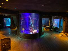 -沈阳海洋探索中心