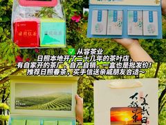 -日照海滨国家森林公园