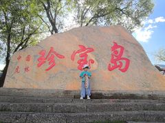 -珍宝岛