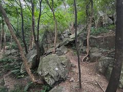 -紫金山山顶公园