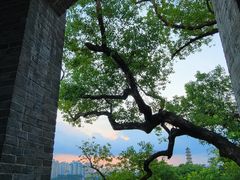 -江心屿景区
