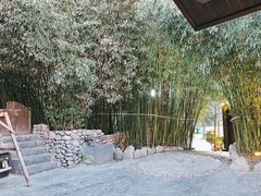 -清雅臻品·竹林院落·新派青岛菜(崂山店)