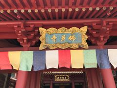 -新加坡佛牙寺龙华院