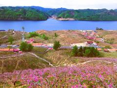 -河口景区