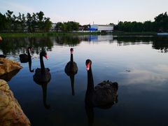 -长春市南湖公园