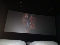 -SFC上影影城(港汇永华IMAX激光店)