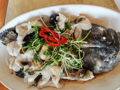 清蒸老虎斑-新塘畔酒楼(里水大道北店)