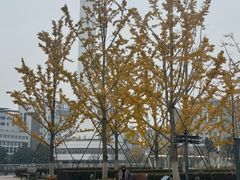 -南通濠河风景名胜区