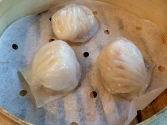 虾饺-新天世纪中餐厅