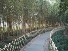 -西湖外事游船(花港观鱼码头)