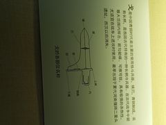 -旅顺博物馆