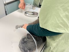 -达爱动物医院·犬猫分区·CT·复杂眼科(远洋山水分院)