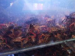 -虾铺子龙虾·私房菜(金源花苑店)
