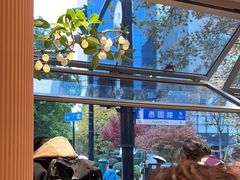 -WHEN PIGS FLY当猪飞