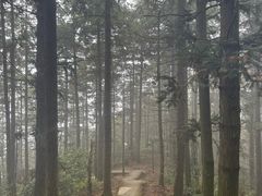 -岣嵝峰国家森林公园