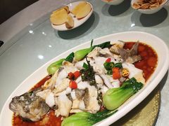 -正阳春烤鸭店(杨楼店)