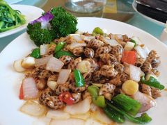 辣炒小花螺-小贝壳酒楼(经九路店)