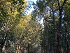 -达蓬山旅游度假区