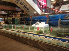 水产区-百姓渔村(南中环店)