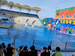 -北戴河圣蓝海洋公园