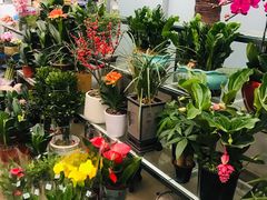 -金陵花卉交易市场