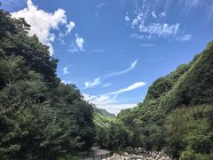 -少华山国家森林公园