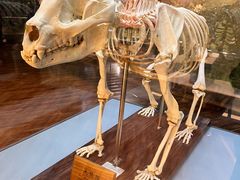 -陕西自然博物馆