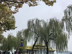 -楼外楼(西湖景区孤山路店)