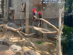 -大连森林动物园