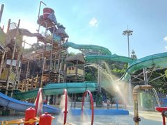 -重庆海昌加勒比海水世界