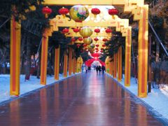 -长春市南湖公园