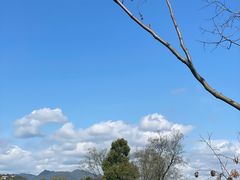 -千岛湖天屿景区