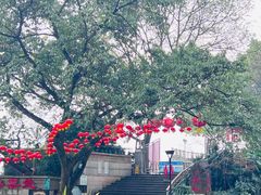 -南山植物园