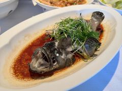 -顺峰(农展馆店)