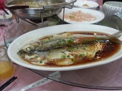 白鱼-西新饭店(城中店)