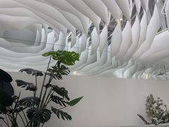 -大树餐厅(大悦城店)