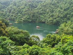 -鼎湖山风景区