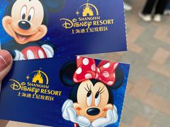 -上海迪士尼度假区