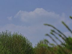 -映月湖中央公园