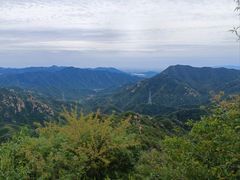 -大岭沟猕猴桃谷风景区
