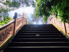 -棠湖公园