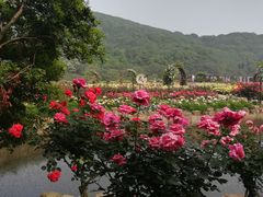 -龙寺生态园