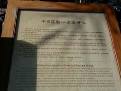 -海口骑楼小吃街