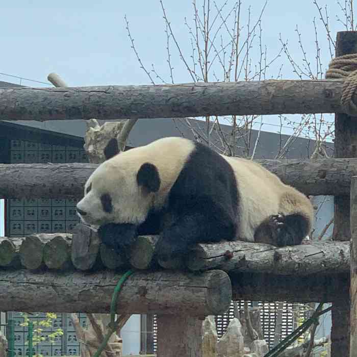 大連森林動物園