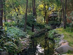 -成都市活水公园