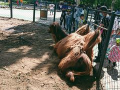 -长白岛森林公园