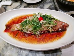 -海王老记