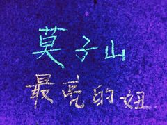 -莫子山公园