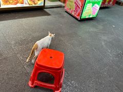 -老炳·七丛松甘草水果