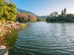 -深圳仙湖植物园